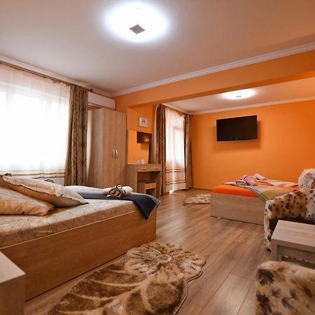 Apartament Trident Haţeg エクステリア 写真